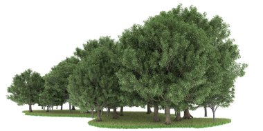Realistic forest isolated on white background. 3d rendering - illustration
