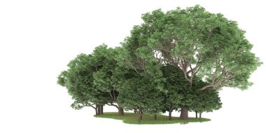 Realistic forest isolated on white background. 3d rendering - illustration