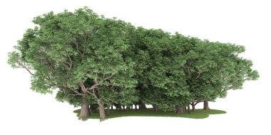 Realistic forest isolated on white background. 3d rendering - illustration