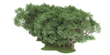 Realistic forest isolated on white background. 3d rendering - illustration