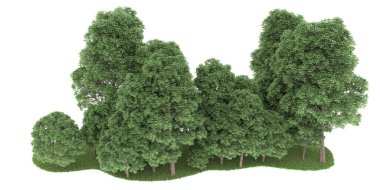Realistic forest isolated on white background. 3d rendering - illustration