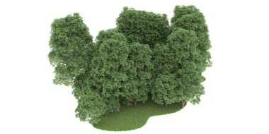 Realistic forest isolated on white background. 3d rendering - illustration