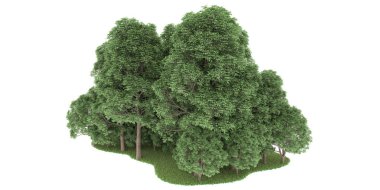 Realistic forest isolated on white background. 3d rendering - illustration