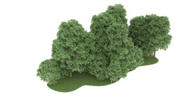 Realistic forest isolated on white background. 3d rendering - illustration