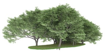 Realistic forest isolated on white background. 3d rendering - illustration