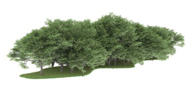 Realistic forest isolated on white background. 3d rendering - illustration