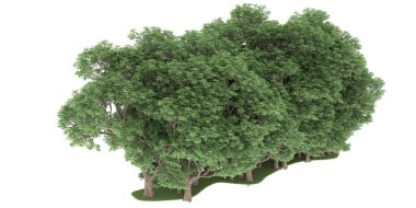 Realistic forest isolated on white background. 3d rendering - illustration