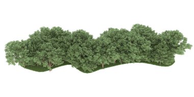 Realistic forest isolated on white background. 3d rendering - illustration