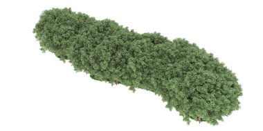 Realistic forest isolated on white background. 3d rendering - illustration