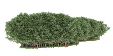 Realistic forest isolated on white background. 3d rendering - illustration