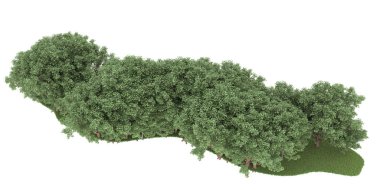 Realistic forest isolated on white background. 3d rendering - illustration