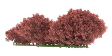 Realistic forest isolated on white background. 3d rendering - illustration