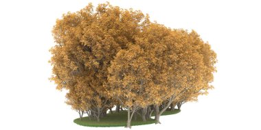 Realistic forest isolated on white background. 3d rendering - illustration