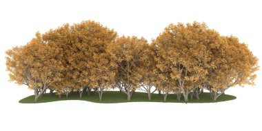 Realistic forest isolated on white background. 3d rendering - illustration