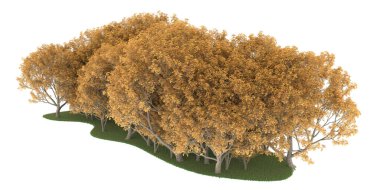 Realistic forest isolated on white background. 3d rendering - illustration