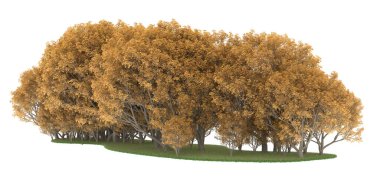Realistic forest isolated on white background. 3d rendering - illustration