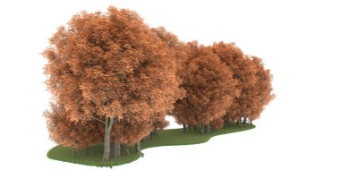 Realistic forest isolated on white background. 3d rendering - illustration