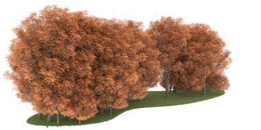 Realistic forest isolated on white background. 3d rendering - illustration