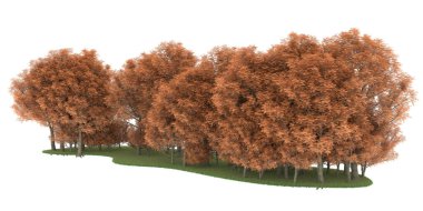 Realistic forest isolated on white background. 3d rendering - illustration