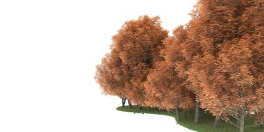 Realistic forest isolated on white background. 3d rendering - illustration