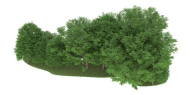 Realistic forest isolated on white background. 3d rendering - illustration