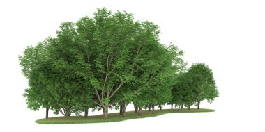 Realistic forest isolated on white background. 3d rendering - illustration