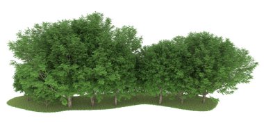 Realistic forest isolated on white background. 3d rendering - illustration
