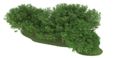 Realistic forest isolated on white background. 3d rendering - illustration