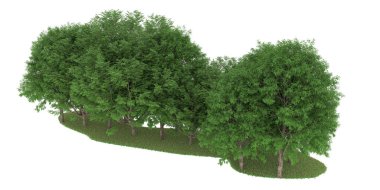 Realistic forest isolated on white background. 3d rendering - illustration