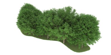 Realistic forest isolated on white background. 3d rendering - illustration