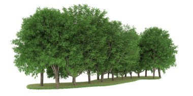 Realistic forest isolated on white background. 3d rendering - illustration