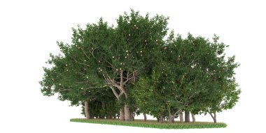 Realistic forest isolated on white background. 3d rendering - illustration