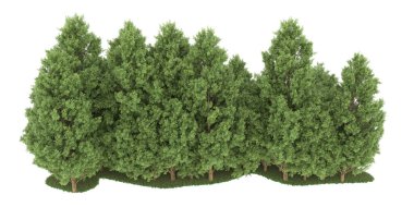 Realistic forest isolated on white background. 3d rendering - illustration