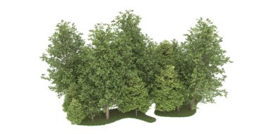 Realistic forest isolated on white background. 3d rendering - illustration