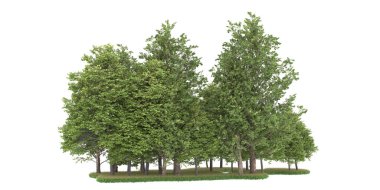 Realistic forest isolated on white background. 3d rendering - illustration