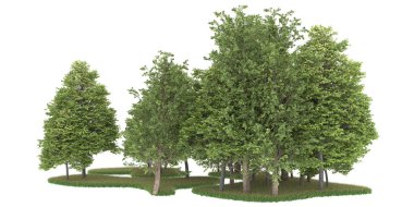 Realistic forest isolated on white background. 3d rendering - illustration
