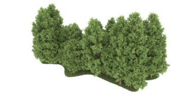Realistic forest isolated on white background. 3d rendering - illustration
