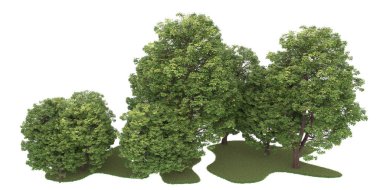 Realistic forest isolated on white background. 3d rendering - illustration