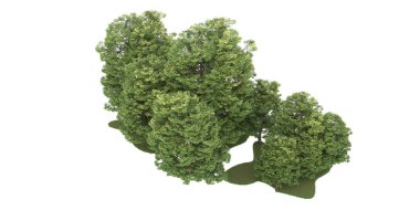 Realistic forest isolated on white background. 3d rendering - illustration