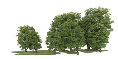 Realistic forest isolated on white background. 3d rendering - illustration