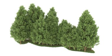 Realistic forest isolated on white background. 3d rendering - illustration