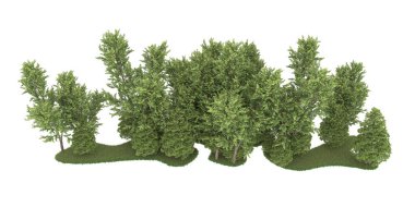 Realistic forest isolated on white background. 3d rendering - illustration