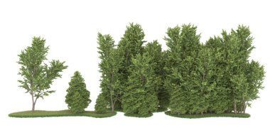 Realistic forest isolated on white background. 3d rendering - illustration