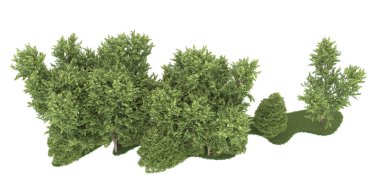 Realistic forest isolated on white background. 3d rendering - illustration