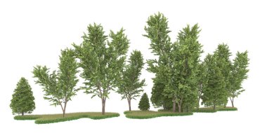 Realistic forest isolated on white background. 3d rendering - illustration