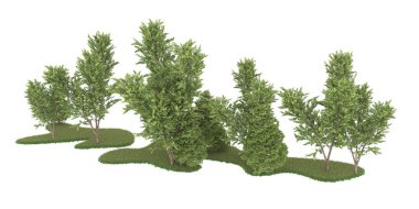 Realistic forest isolated on white background. 3d rendering - illustration