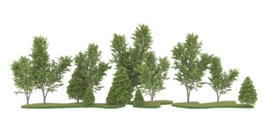 Realistic forest isolated on white background. 3d rendering - illustration
