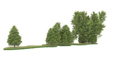 Realistic forest isolated on white background. 3d rendering - illustration