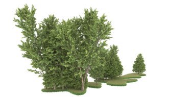 Realistic forest isolated on white background. 3d rendering - illustration