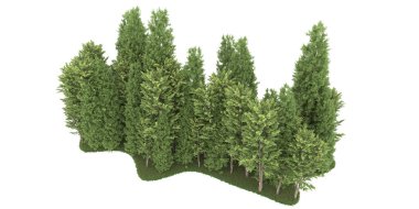 Realistic forest isolated on white background. 3d rendering - illustration
